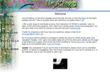 Tablet Screenshot of pro.timoregan.com